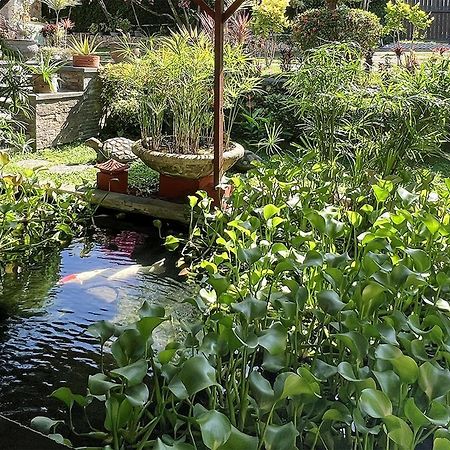 Villa Anjing Nusa Dua  Luaran gambar