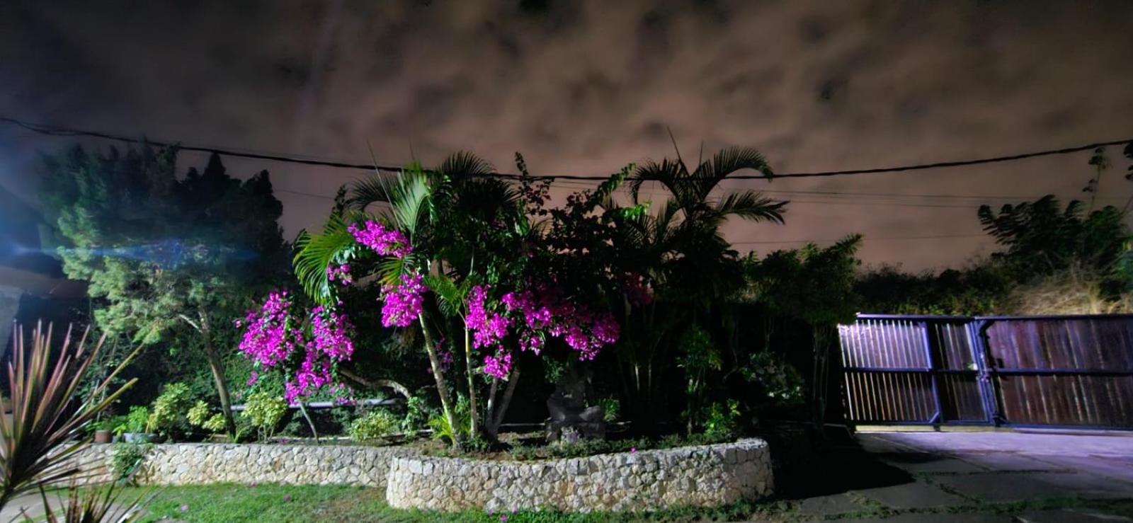 Villa Anjing Nusa Dua  Luaran gambar