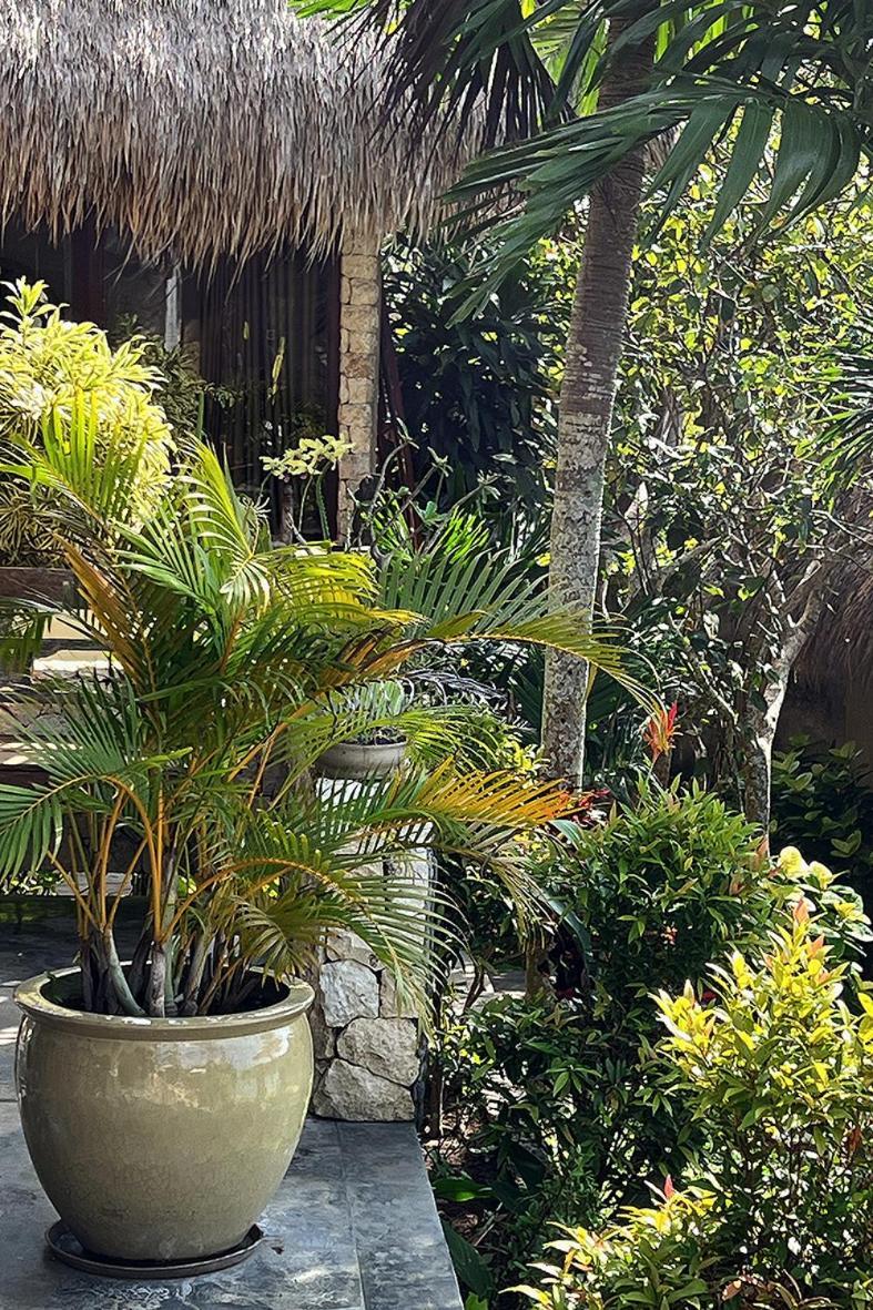 Villa Anjing Nusa Dua  Luaran gambar