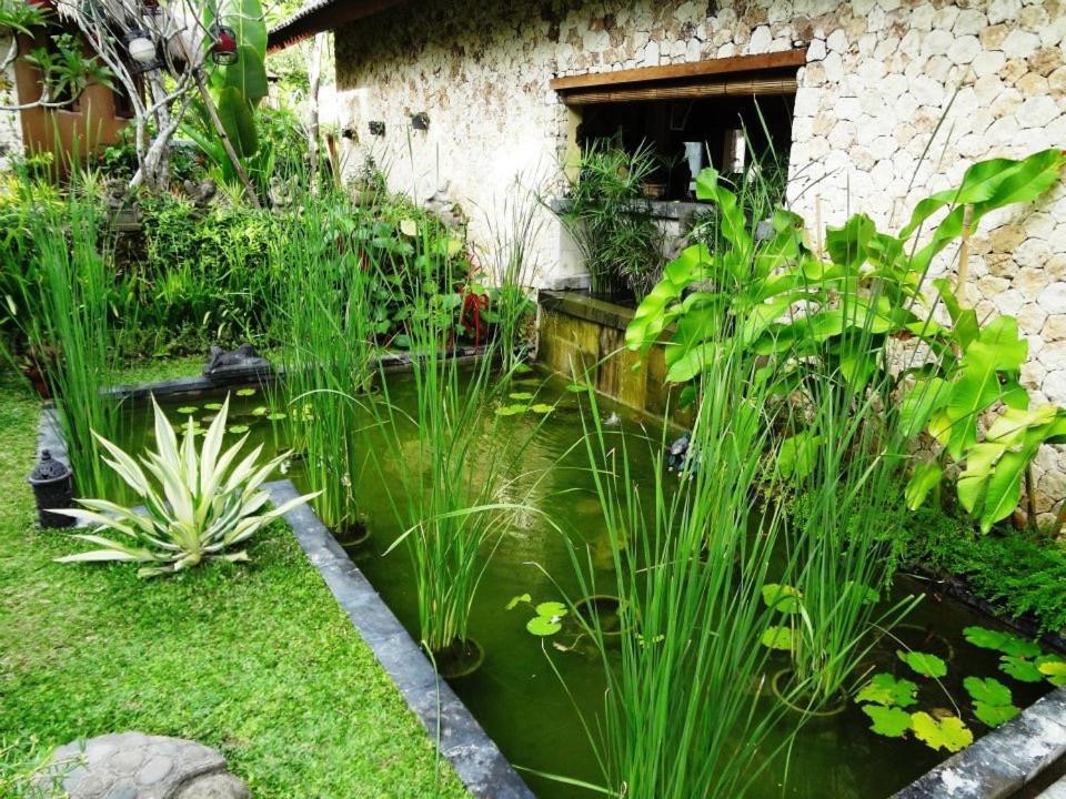 Villa Anjing Nusa Dua  Luaran gambar
